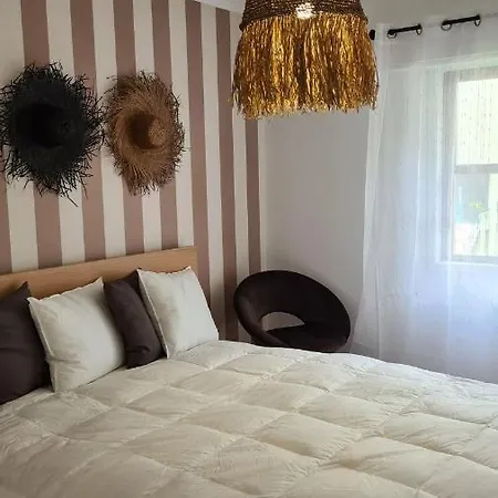 Enjoy Porto's Vibes 포르투