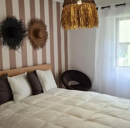 Enjoy Porto's Vibes Porto