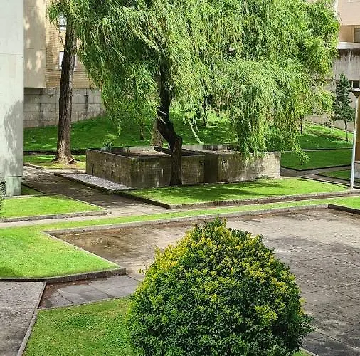 Enjoy Porto's Vibes Apartamento *